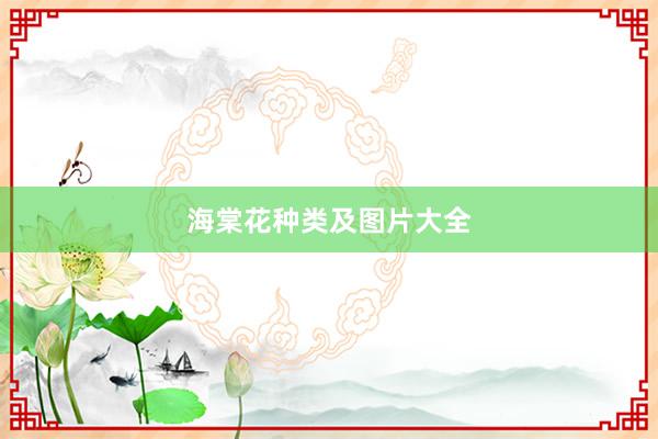 海棠花种类及图片大全