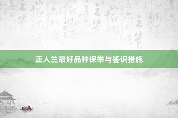 正人兰最好品种保举与鉴识措施