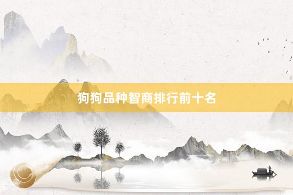 狗狗品种智商排行前十名